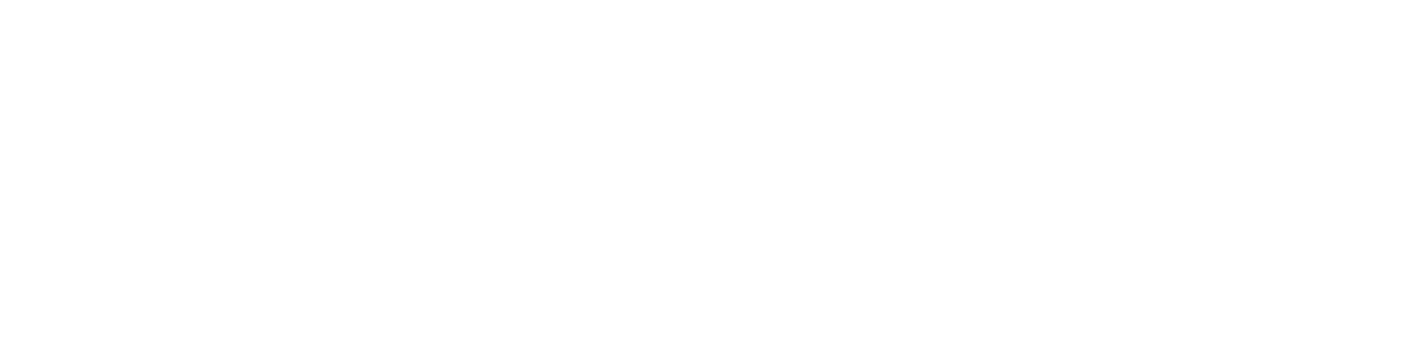 NavVis